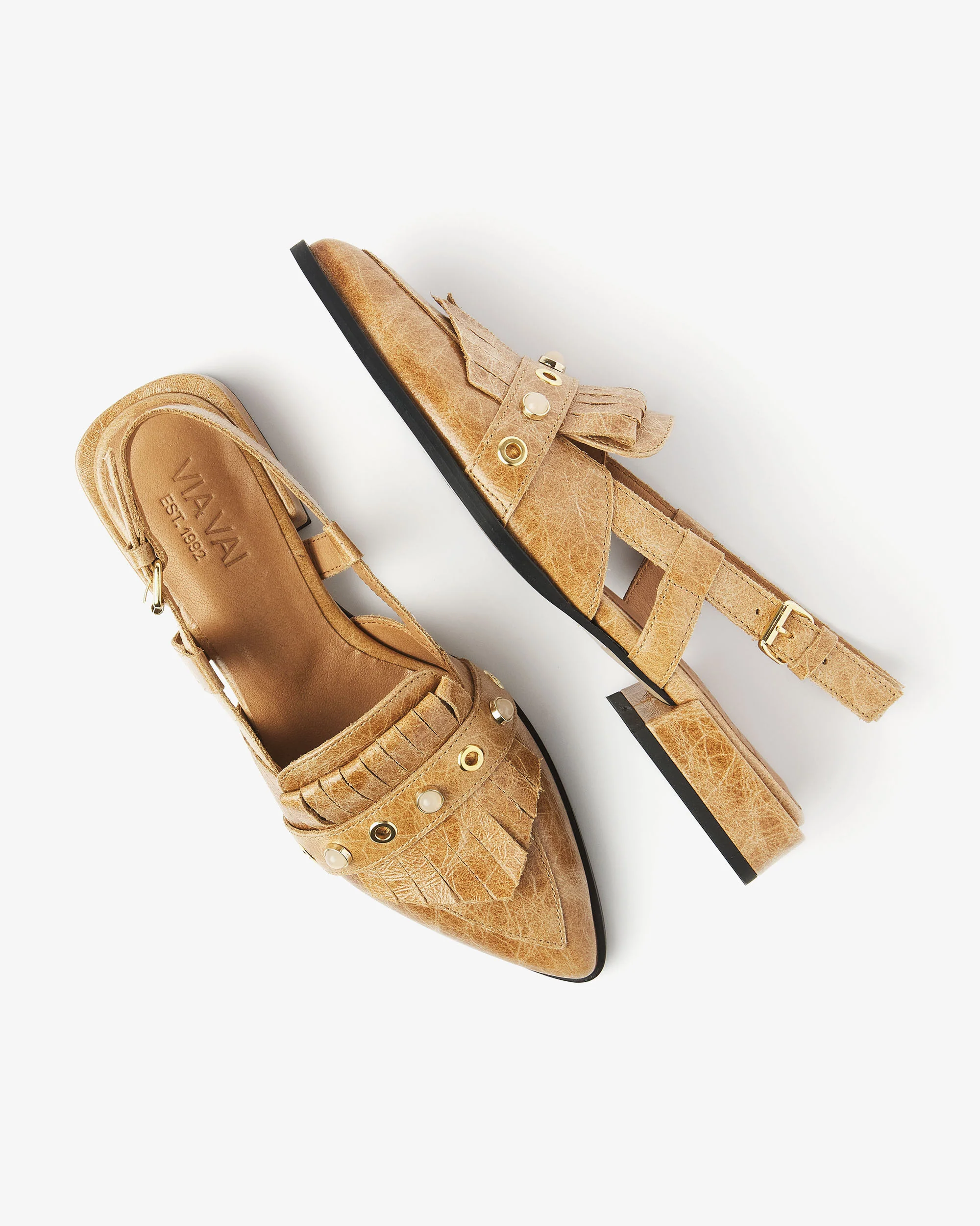 Jazz Tammi - Image 4