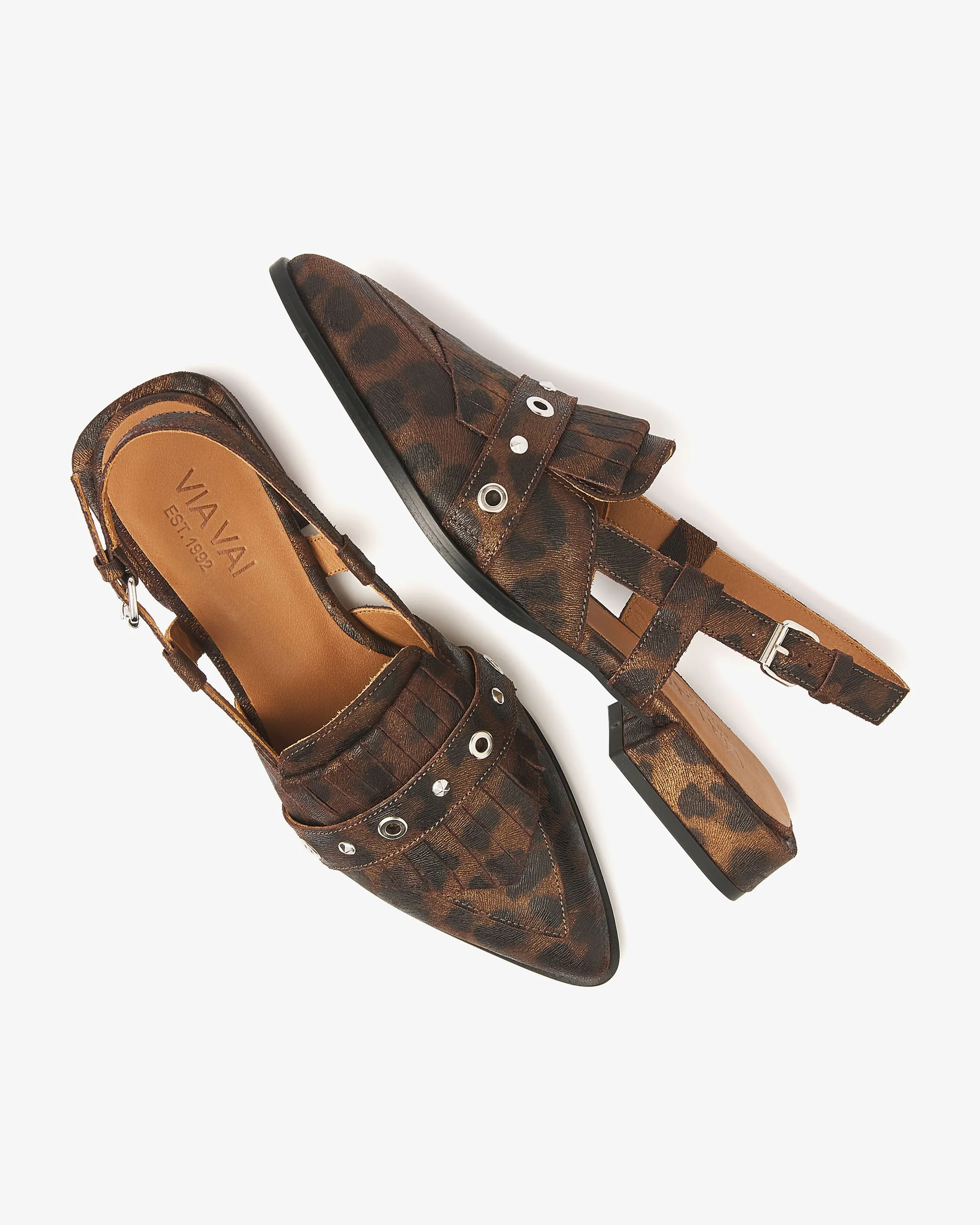 Jazz Tammi - Image 4