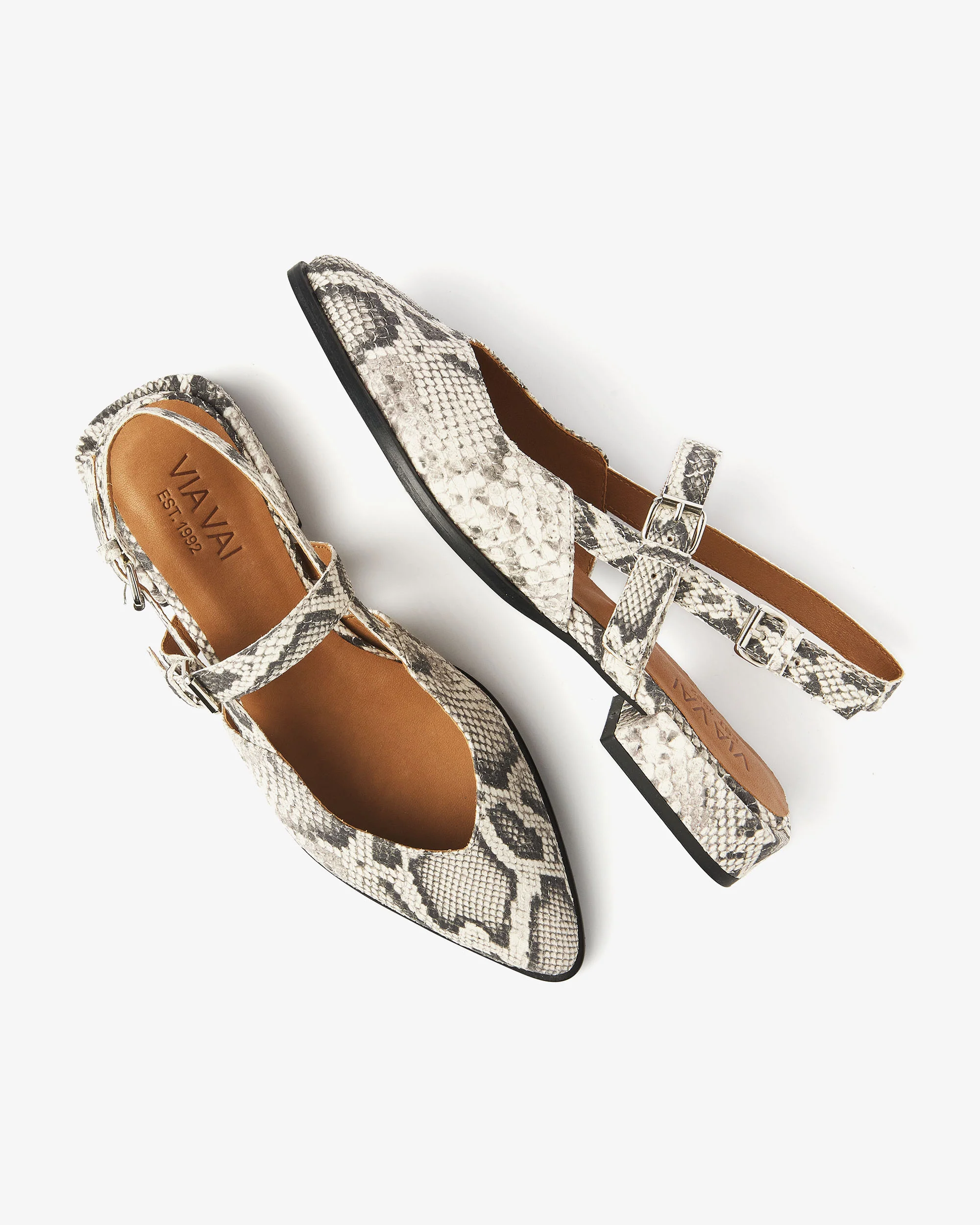 Jazz Valerie - Image 4