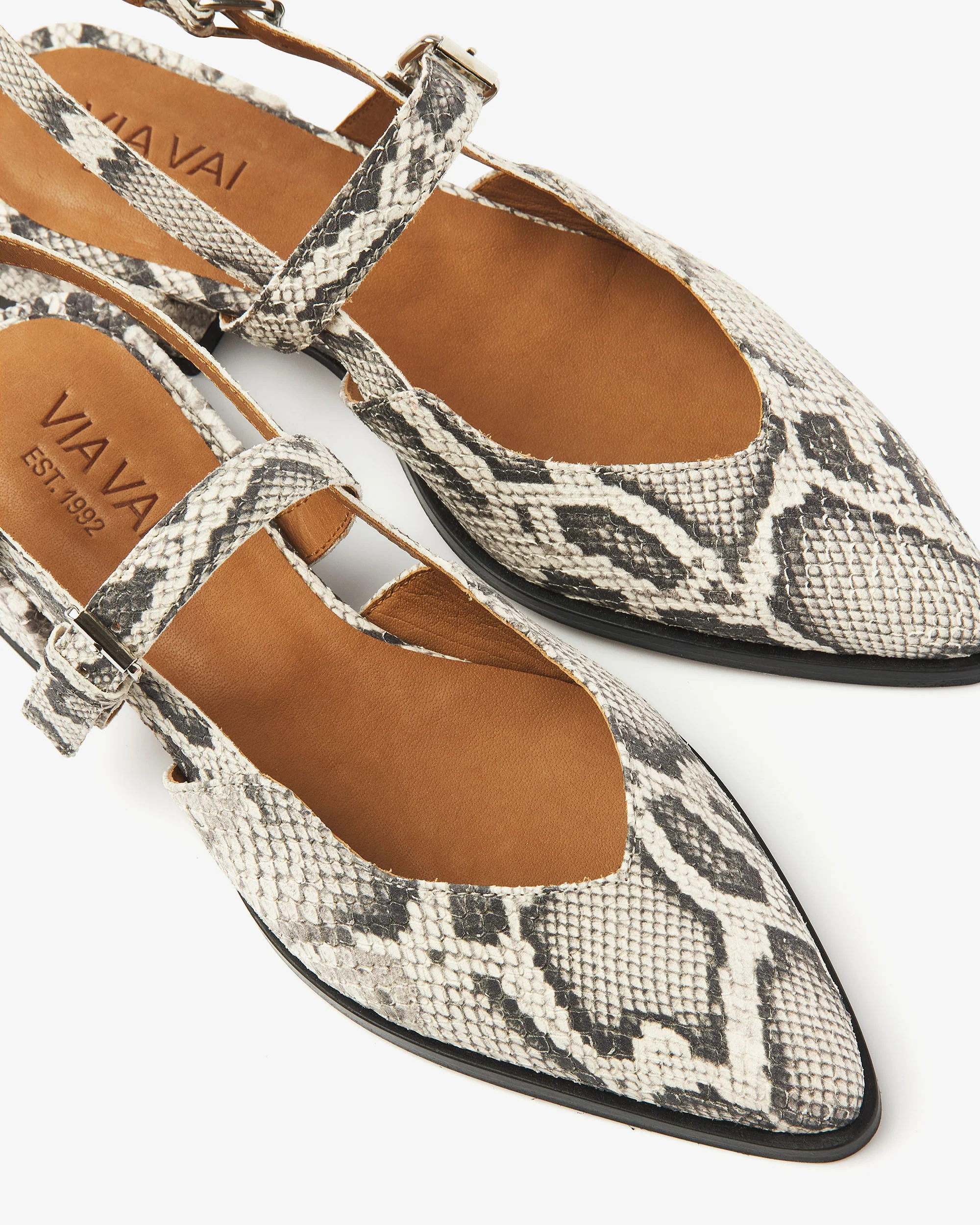 Jazz Valerie - Image 5